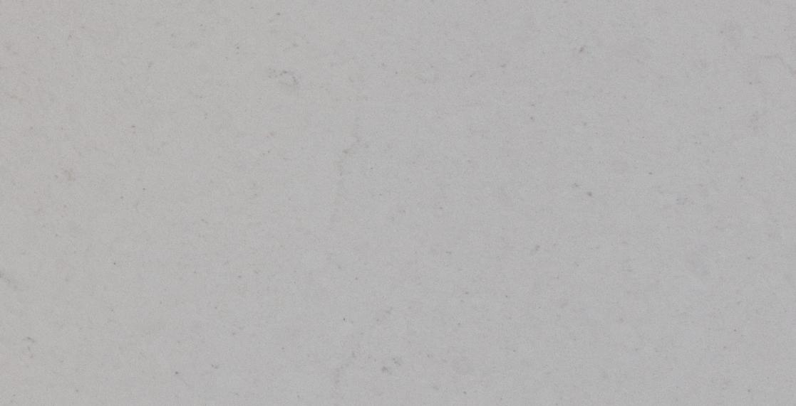 Fossil Seashell 865