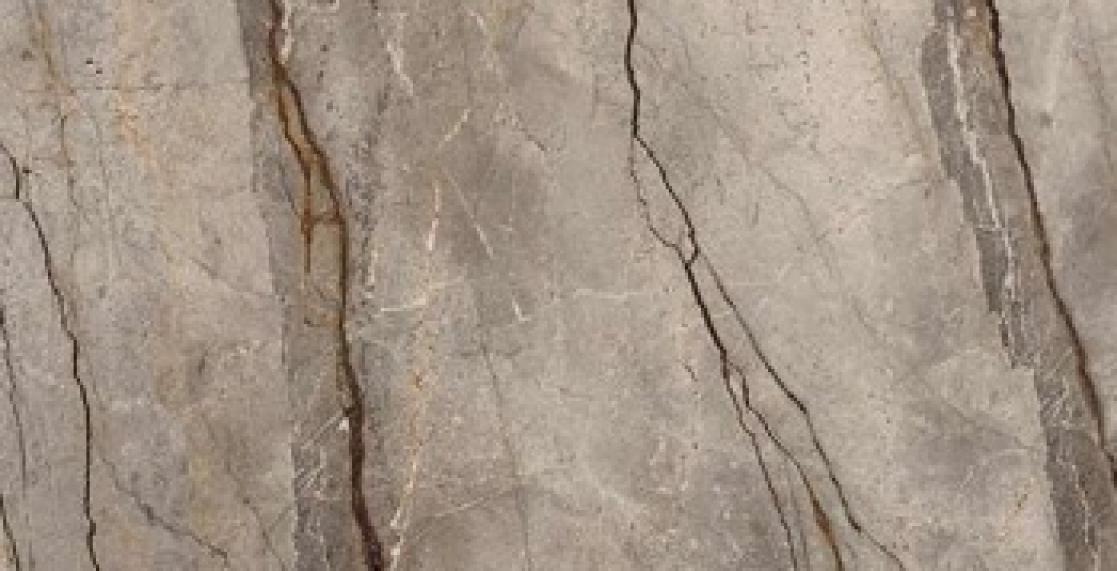 Silver Root