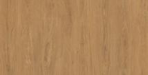 wood 1