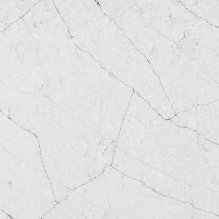 FOREST BETULLA 4010