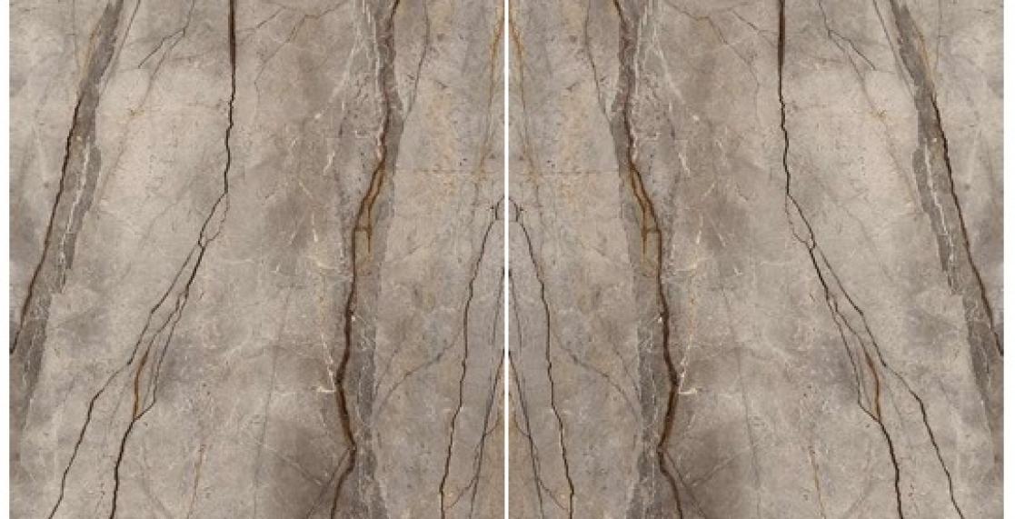 Silver Root