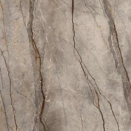 Silver Root