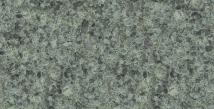 verde alga