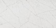FOREST BETULLA  4010