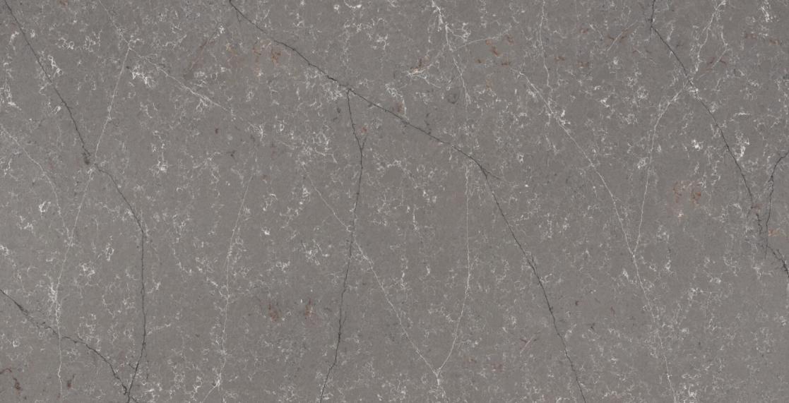 FOREST GARRIGUE  4020