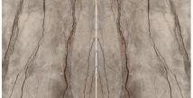 Silver Root
