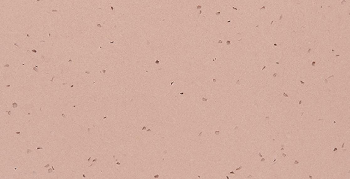 Capri-Rose30x30-copia