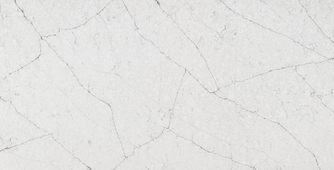 FOREST BETULLA  4010