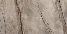 Silver Root