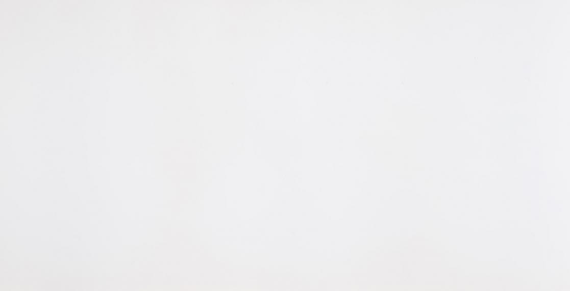 Absolute White 400